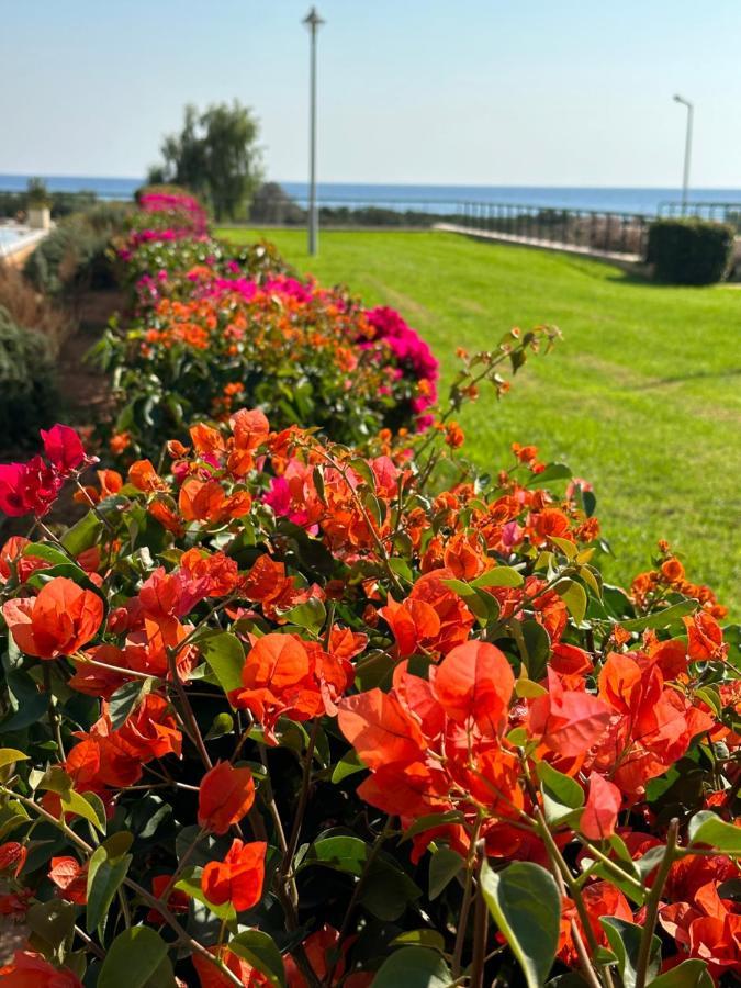 Green Apartment In Bafra Northern Cyprus Vokolidha Екстериор снимка
